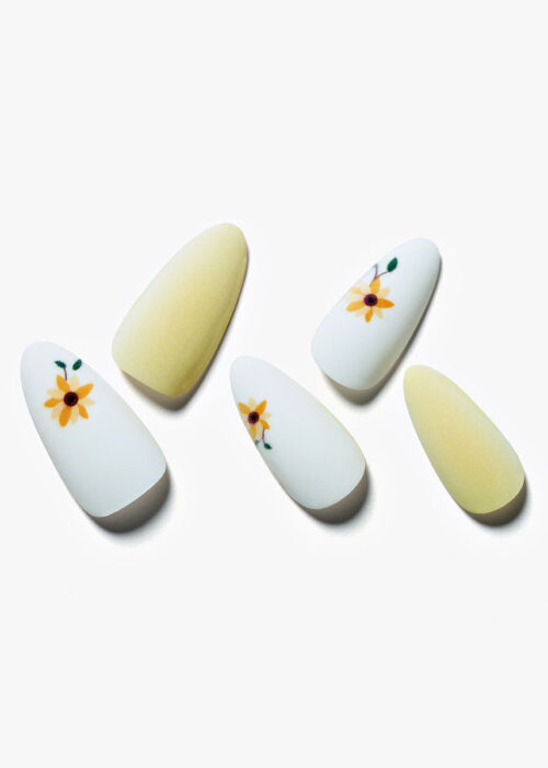 Daisy Garden / Almond